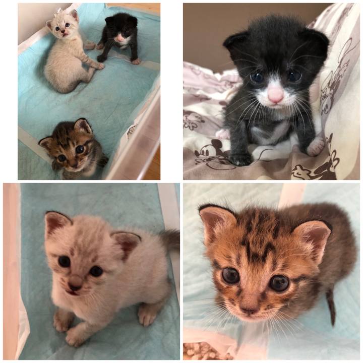 42a0025e 0e9a 4466 af62 bfb44269327e 1595405088721