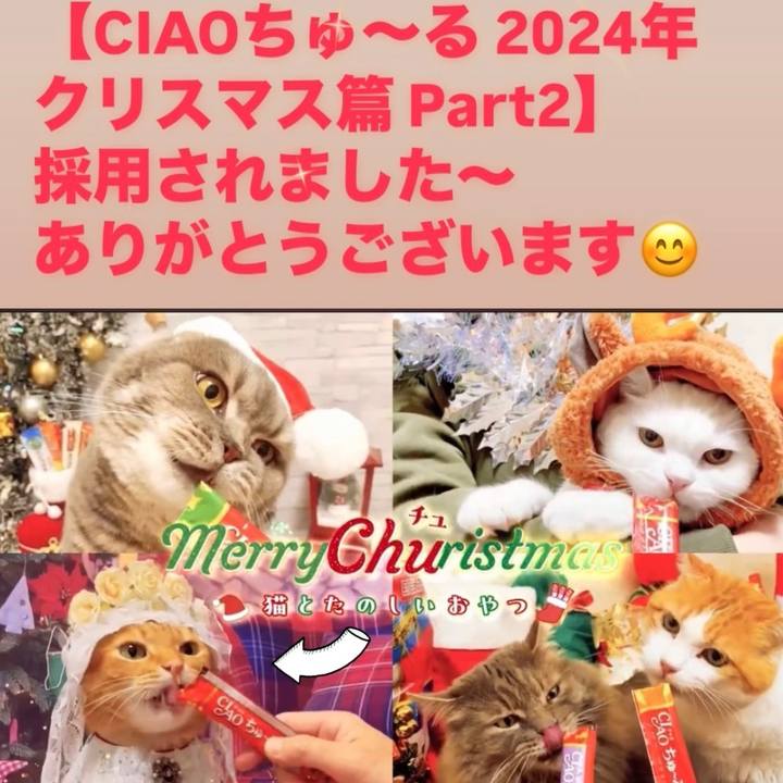 42a03df3 b324 40c7 b2c8 1749c0945b71 1732710325184