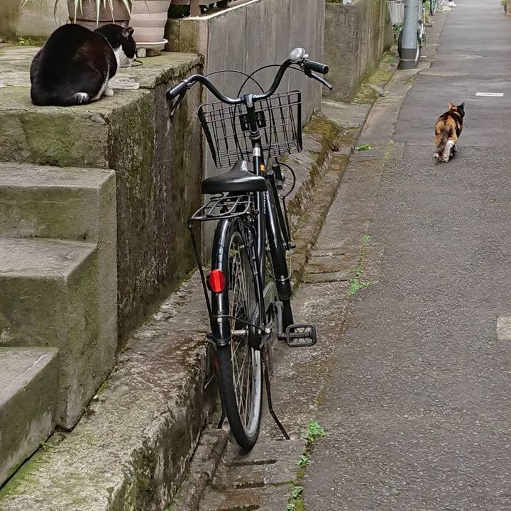 42a04ec3 c5c7 403a 9212 332471bdcd7f 1680478077458