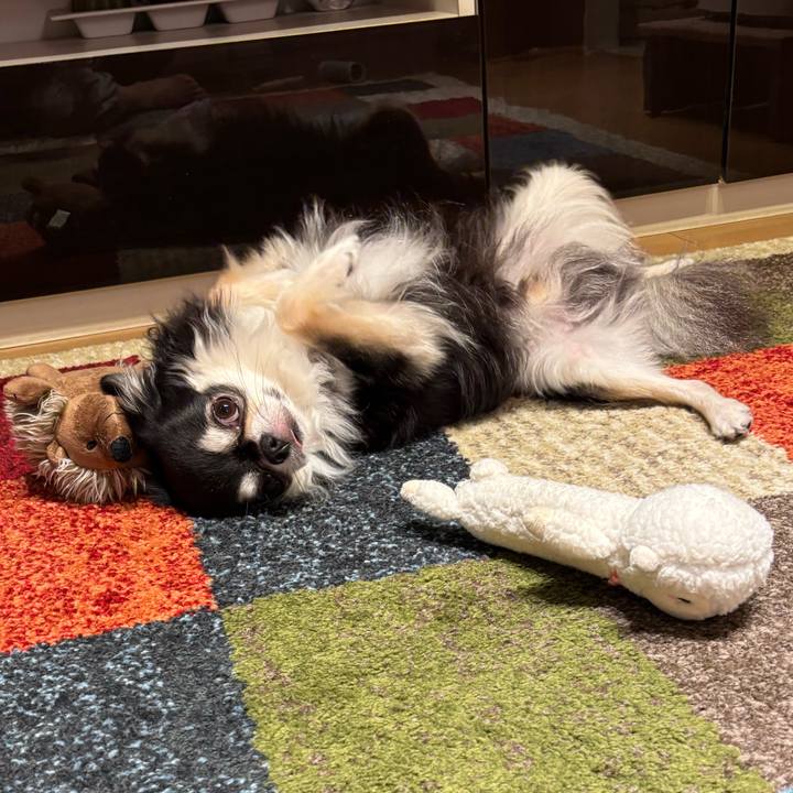 42a0731c 1d47 47ab b376 417b4b2a185e 1757954292303