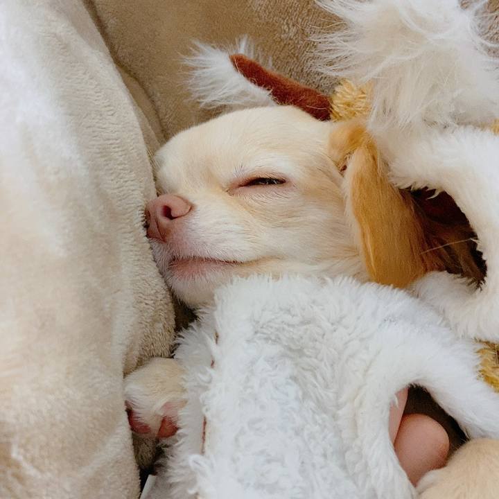 42a0858e 75f3 4d41 9881 1912bb91e609 1609722791563