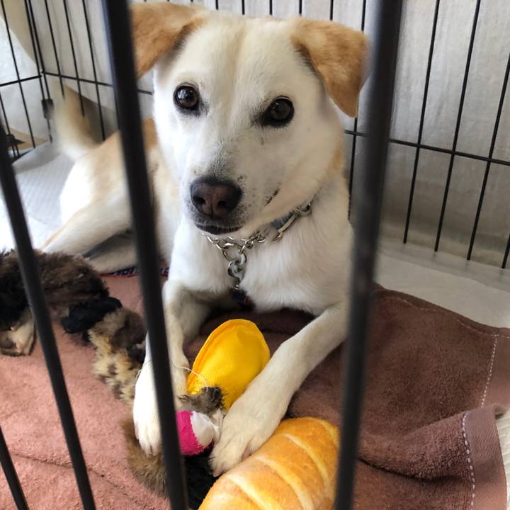 42a0a886 5660 48b1 8d1a fa2467596231 1623500960328