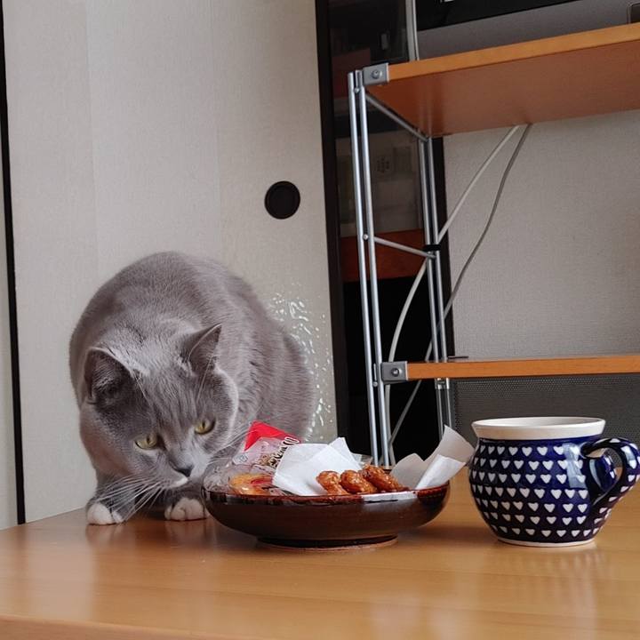 42a0ad4f f7ac 4c2a 8989 d26710677960 1654393579288