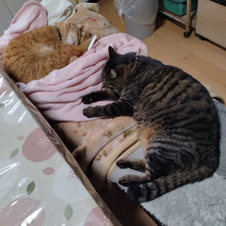 42a0cc36 49f2 4a87 b8af ef1df60d9865 1674531082657