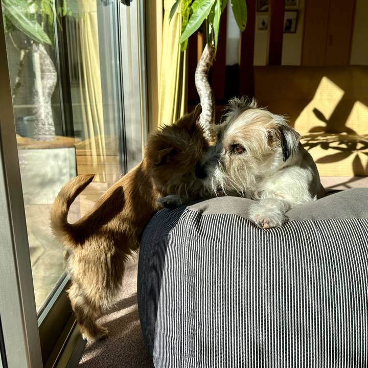 42a0d794 1904 40ae 9a07 2ab7b004580b 1706579002095