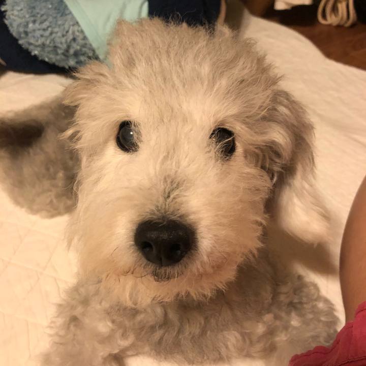 42a113e4 38e8 4508 87a3 cc8e860821a6 1596759070844