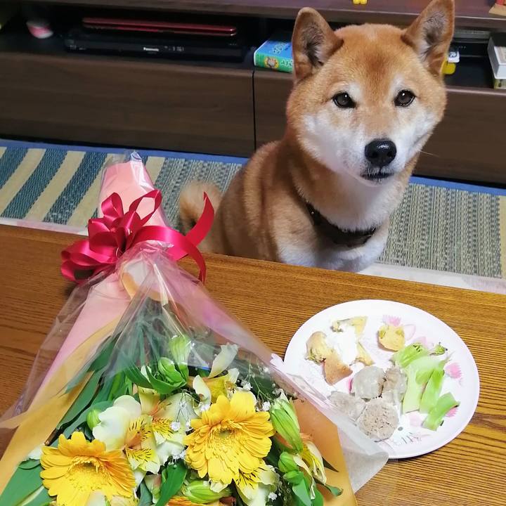 42a1158d b282 4001 b674 da4c8d94326d 1616586295619