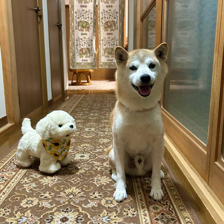 42a15988 bda4 4caa 9125 20cdb66bb2b4 1753268692154