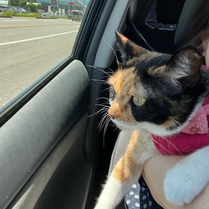 42a1664c 1bf4 43c0 aa83 2dca4e099564 1686977444946