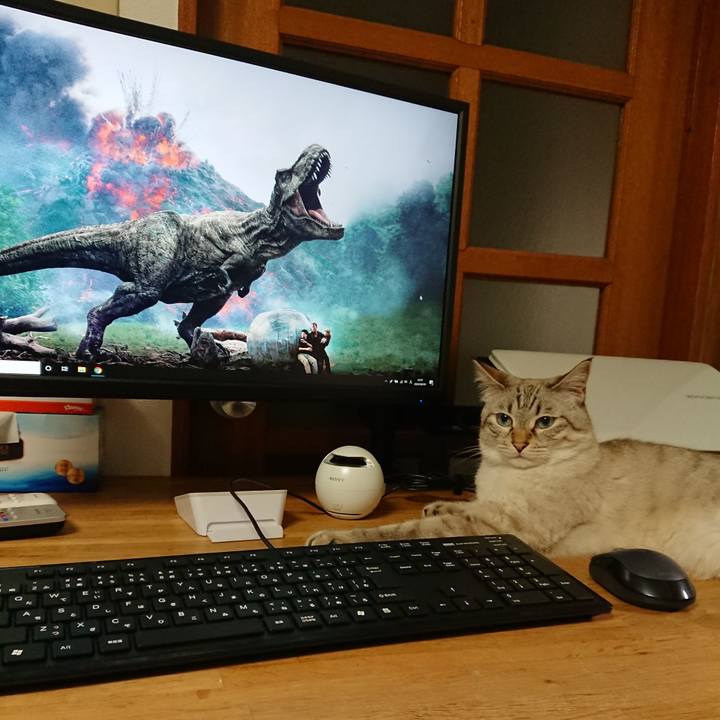 42a1d767 7036 44c6 a0e4 a211ed04a6ac 1596980347262