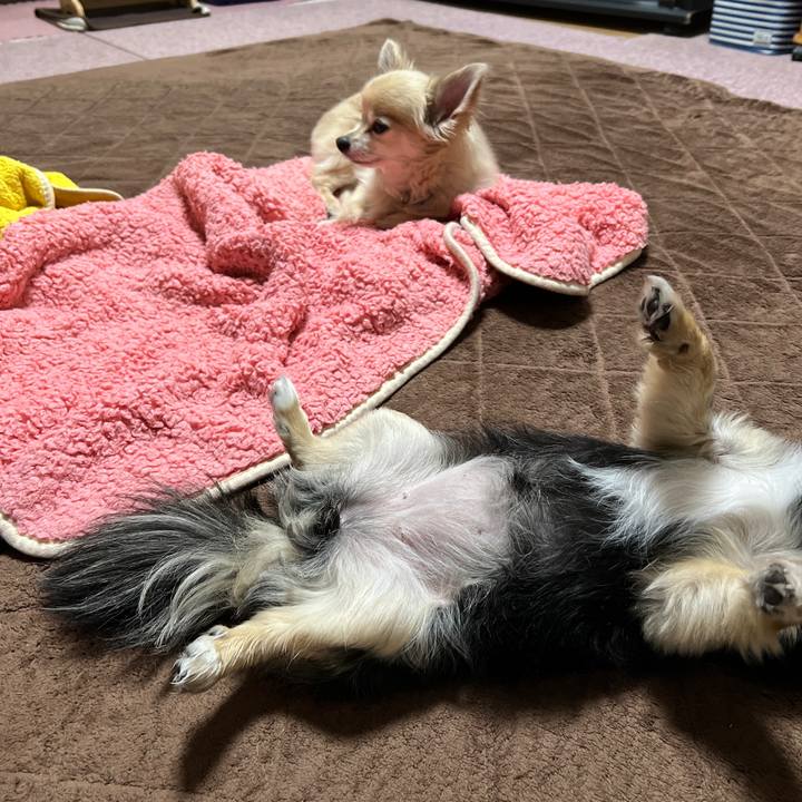 42a1da21 3ec6 4a95 b8db 851d37684179 1748350263682