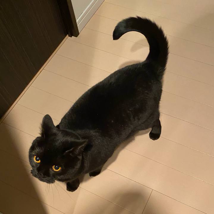 42a1e16d ce94 443c 8ecf e0a00f2977f9 1615206389258