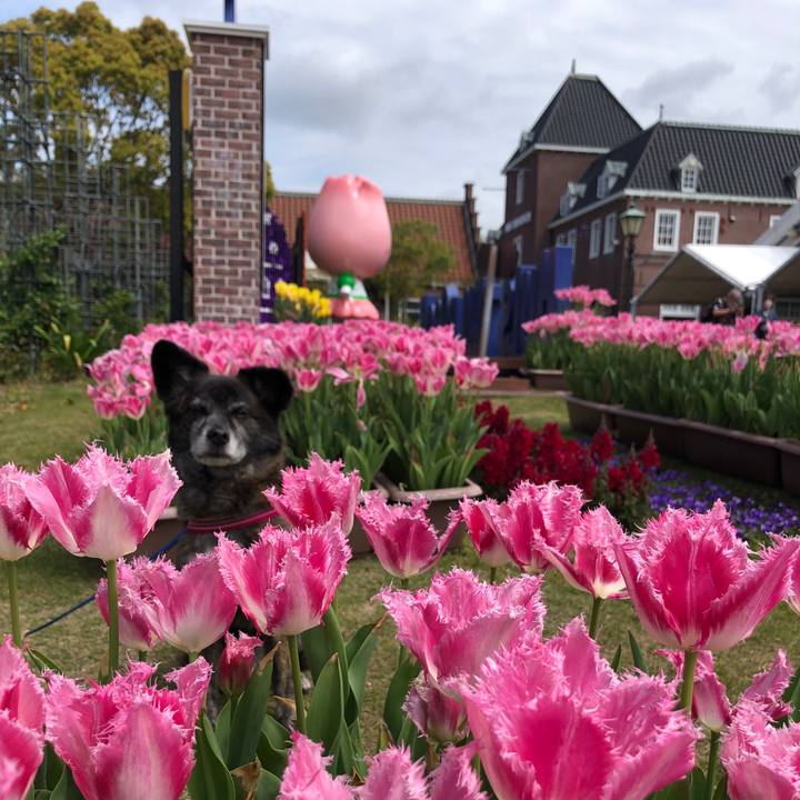 42a1f859 f409 46e2 92e3 773a9b140c6a 1649975828729