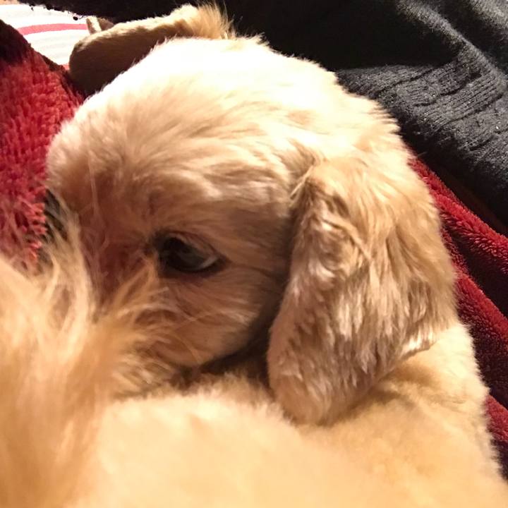 42a20896 7937 4b6a 8665 f87086a446cd 1514723681388