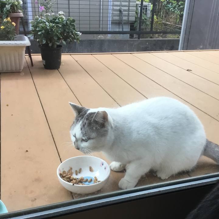 42a215d4 671b 4ce3 817a 720dba0d8936 1764632793575