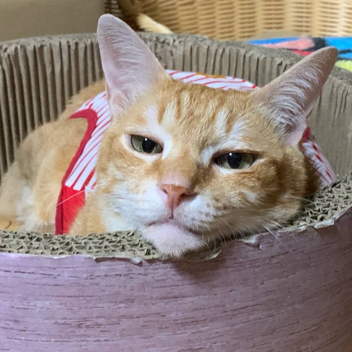 42a21fc7 06c6 4433 8910 c098775f053e 1592310697396