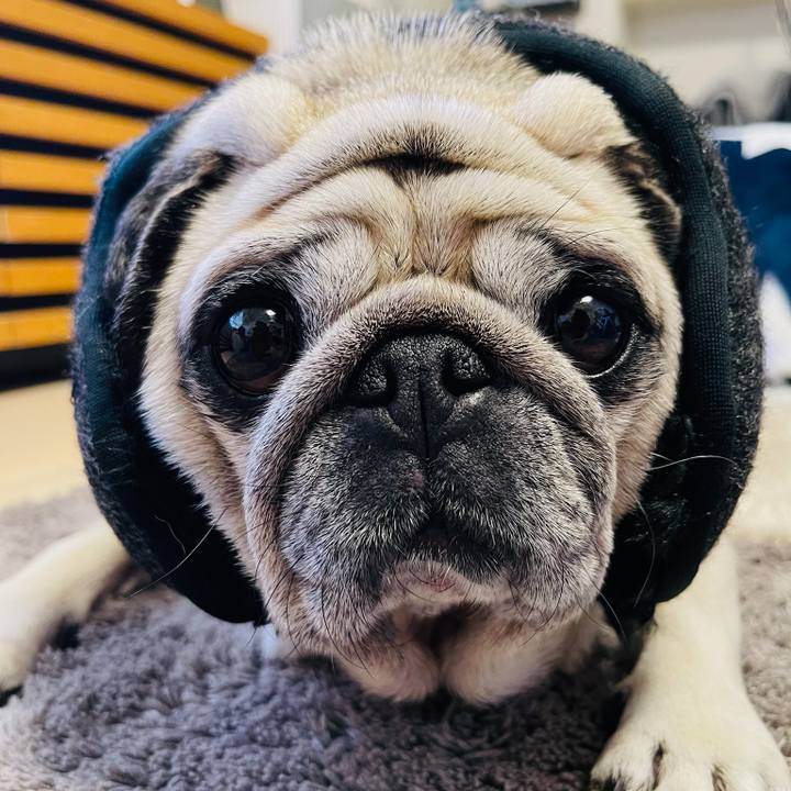 42a24b7b 25b5 4f74 8e2a 860045e5ddbd 1770729315689