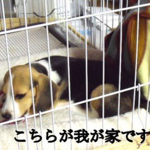 42a284a2 628e 41bb b4f9 0e42570bb180 1676158985370