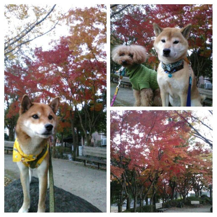 42a31c59 44bb 419b 869e f3f5e63fd4e8 1511167129789