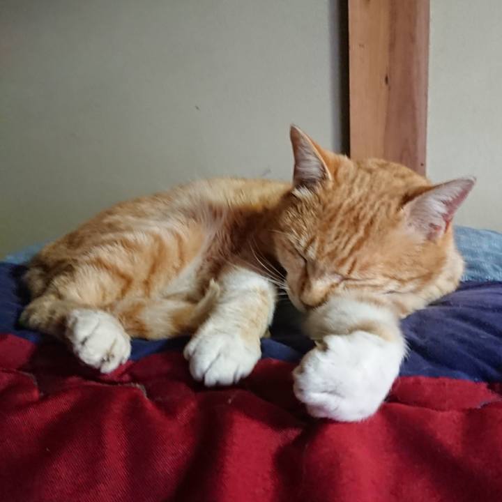 42a33e9b ba28 4f26 8df8 ce823927f3e0 1585778679681