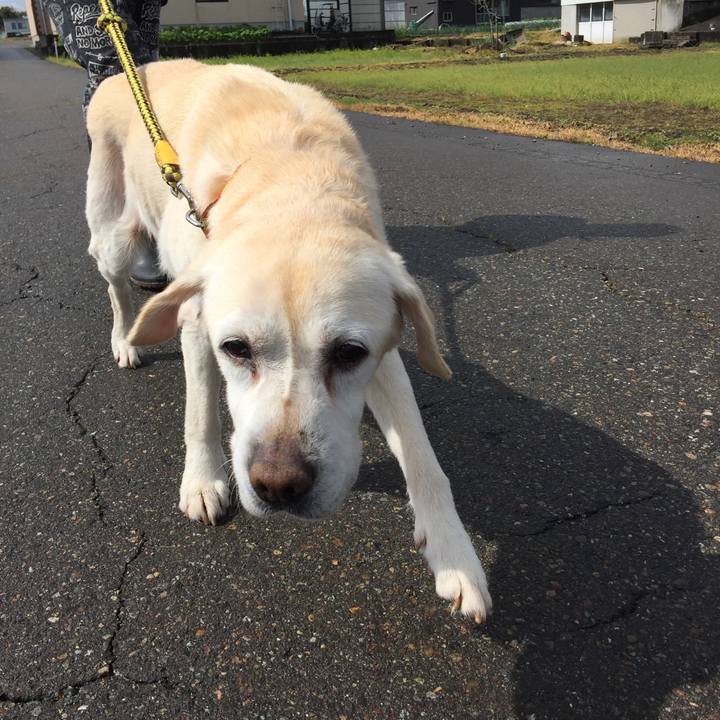 42a340ee 6a7c 4748 b7f7 0970fc74264d 1525394176032