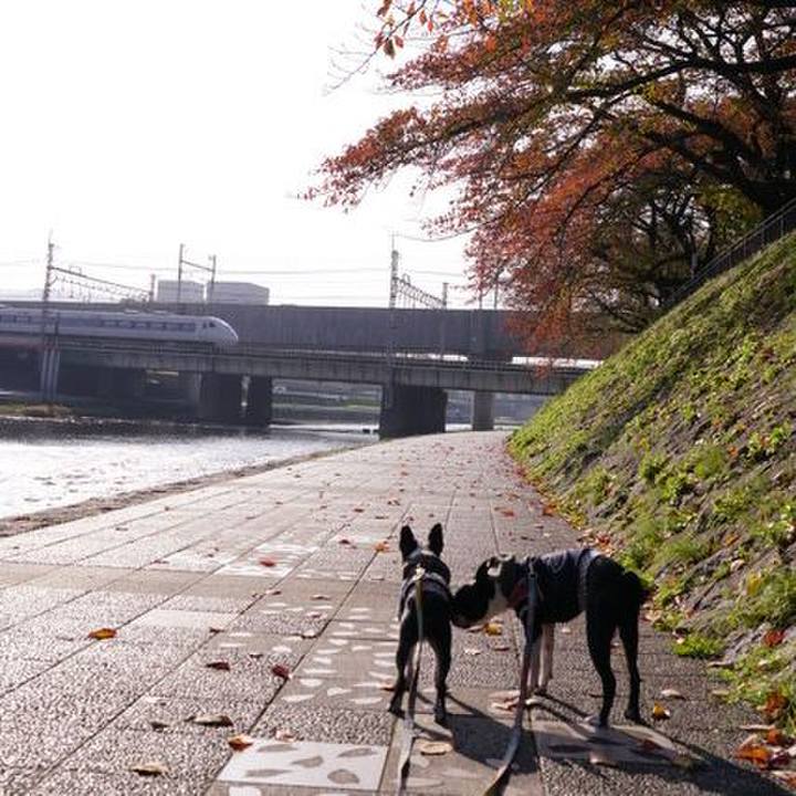 42a3487a 2524 48da b5d0 a1ab5232575a 1541913607613