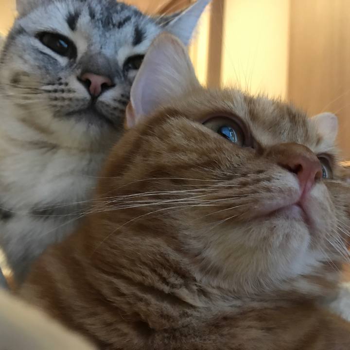 42a35dae b816 46f7 b027 17570be17148 1509239910331