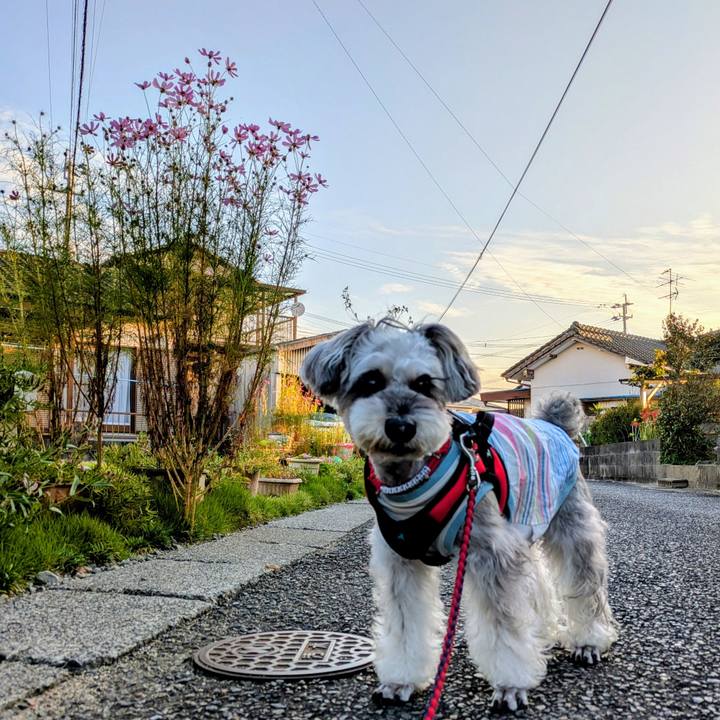 42a36e18 831b 4f89 a36f 13a8f38a1445 1759355622640