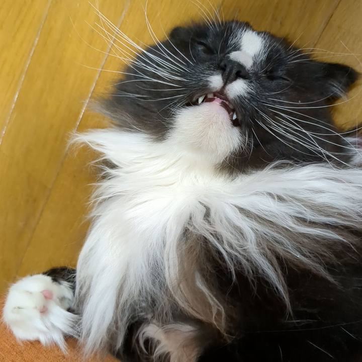 42a3bcb3 010f 4090 a477 412130c07f8b 1672401202227