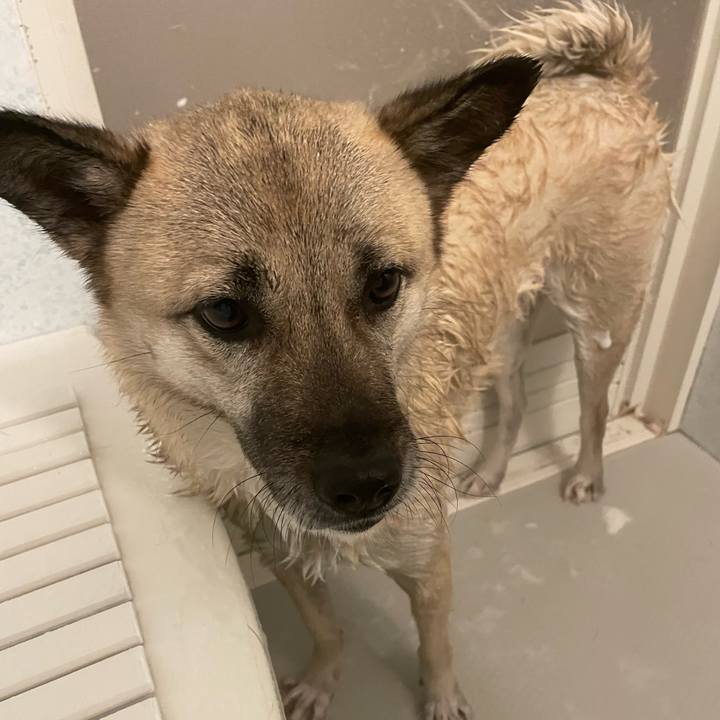 42a4013e 7d80 4a05 aeca 50ba73d1e077 1643454513230