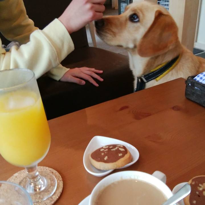 42a47074 2e42 444f 90b9 ae28c538ad42 1520581207817