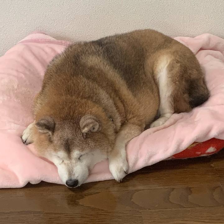 42a47a3c 21db 4271 a39e 7e34ed0e36db 1640942994054