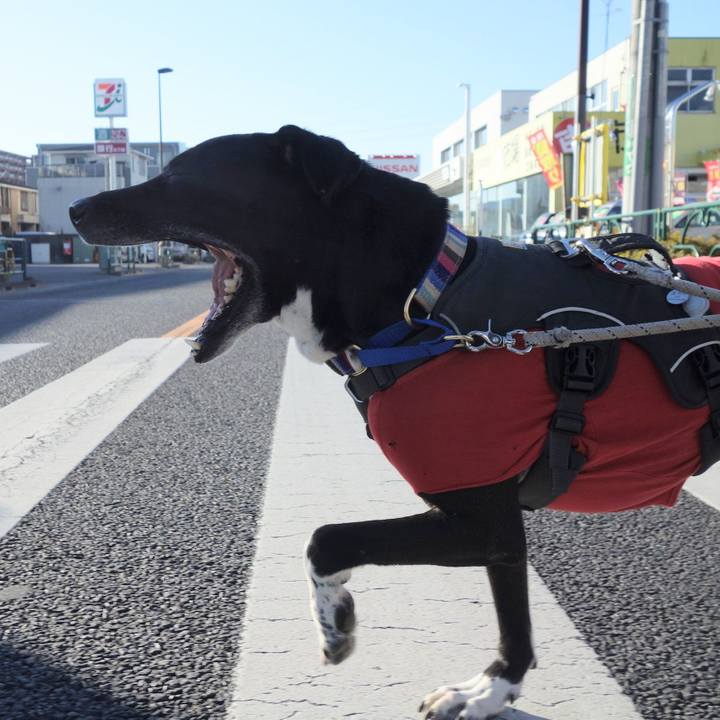 42a4814f c355 4419 b843 3890ee8cf2d5 1645838969474