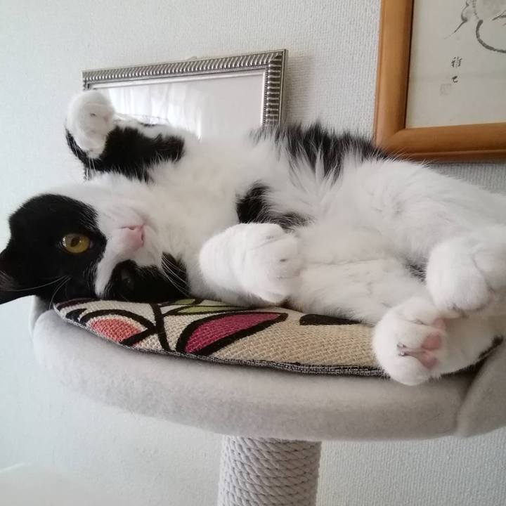 42a4b9fd ce3e 402b a1fe 06ef1cf9d1b9 1559706886389