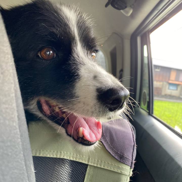 42a4c0b7 e879 47cb abe3 a8233eca835f 1657405334564