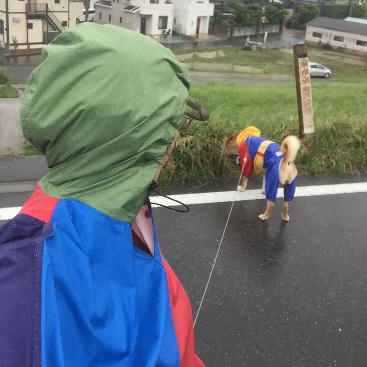 42a4d2da f933 44f9 bfc3 32ac87d6dec5 1571800994473