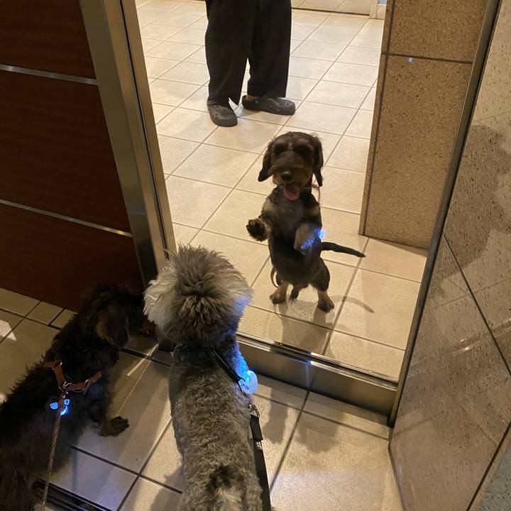 42a4f076 8dab 4831 a0bb 0cc974705b0b 1602512205686