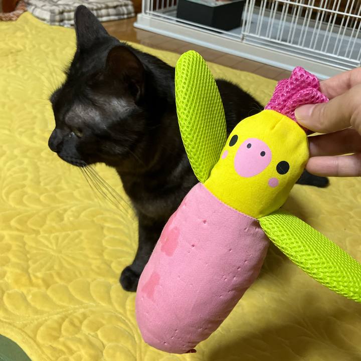 42a50539 dc99 4484 bdab 1222f5e5fe70 1749858106349