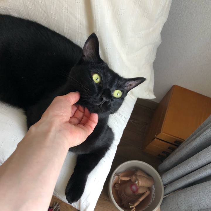 42a50857 05d6 46da 97f5 71df927b2946 1625003639121