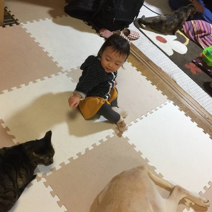 42a51880 e1b2 4f2f 85db 844c9602c3bc 1520250771982