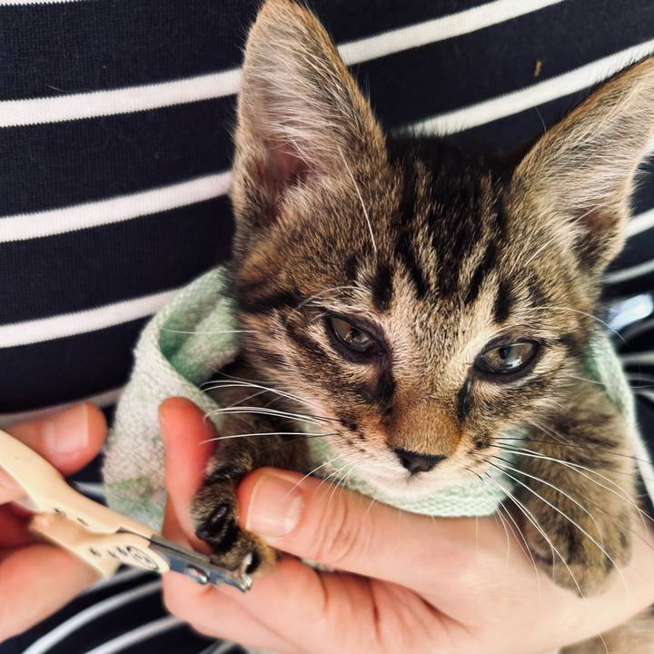 42a52741 18d9 4f00 8085 80fd9a502e29 1725668253481