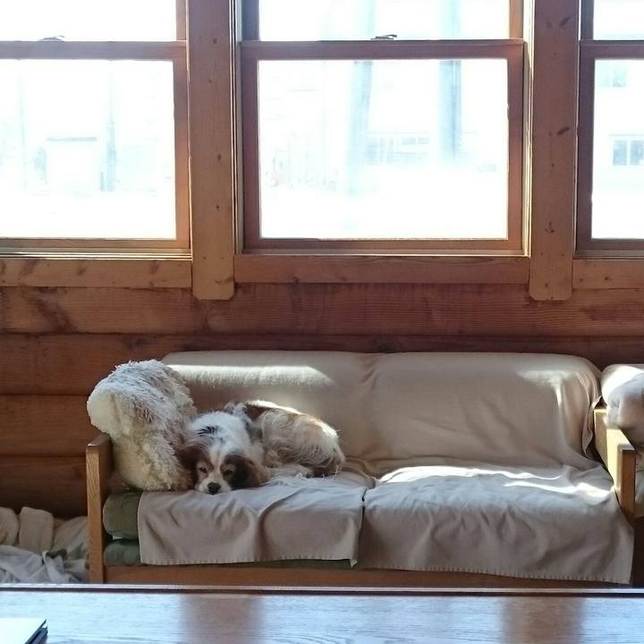 42a5430b ab2c 4b31 9e2f 71bc98ffccdd 1553040359995