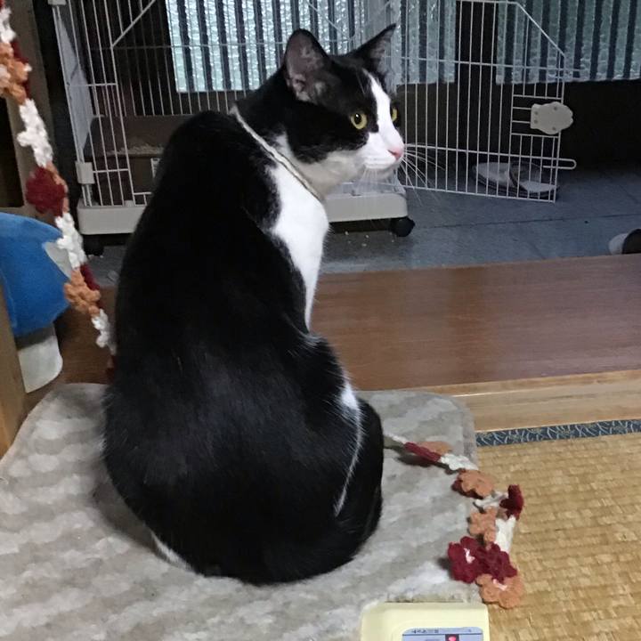 42a5448c bb1a 4f95 906a f27356706d55 1655196294671