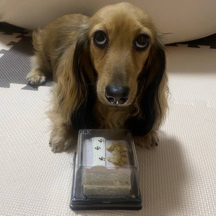 42a5a17d 6aba 42e8 8339 b140eaad6905 1665331198252