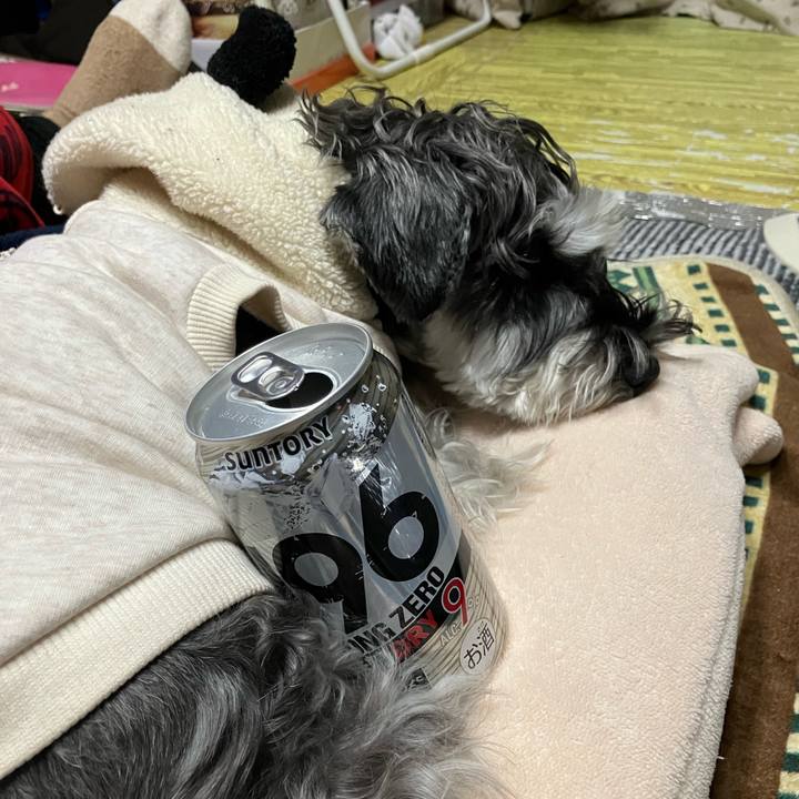 42a5bd96 59b2 46a4 ac9e 1b55a0120574 1738239955930