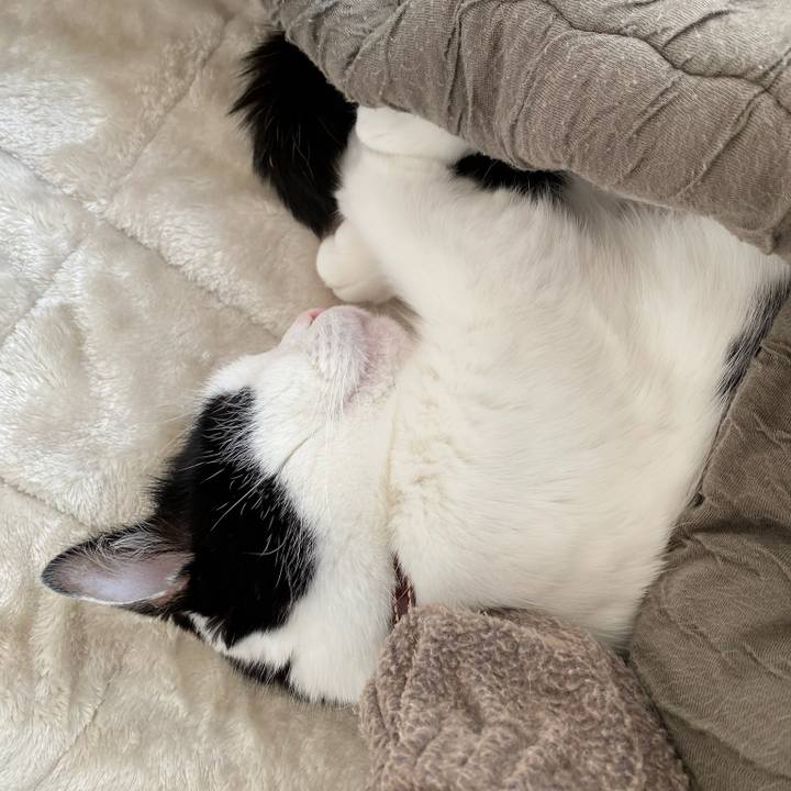 42a5d82b 922c 4eb9 b031 5a4afd75c7e8 1766011216685