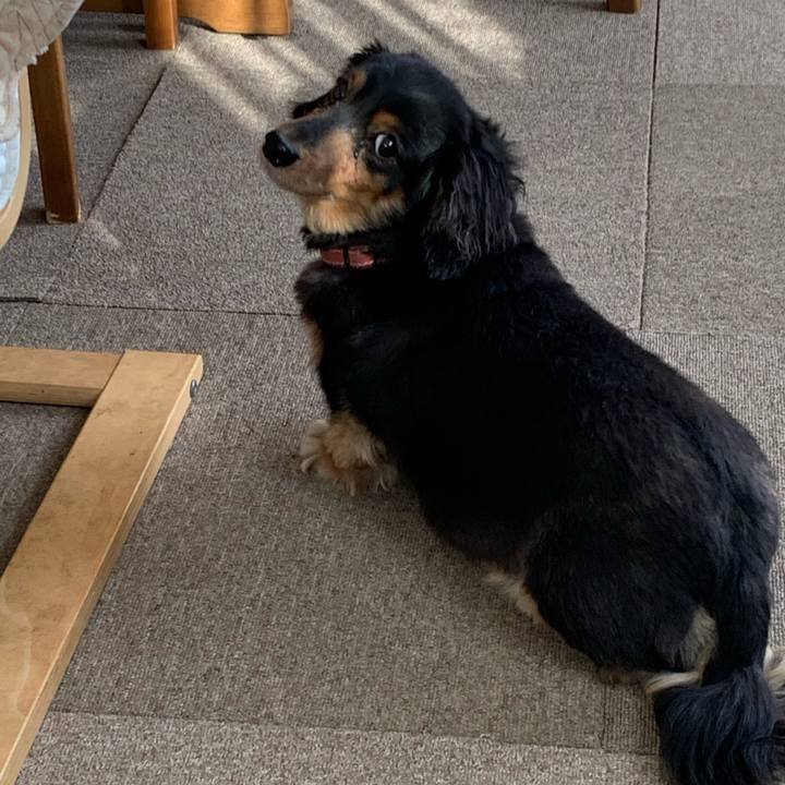 42a65218 fd93 45b0 8144 c087260b0341 1588024662491