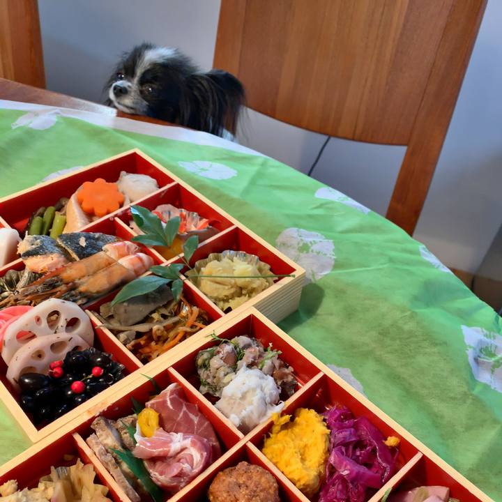 42a654ce b044 4644 9501 34864c74a2f6 1546297769852