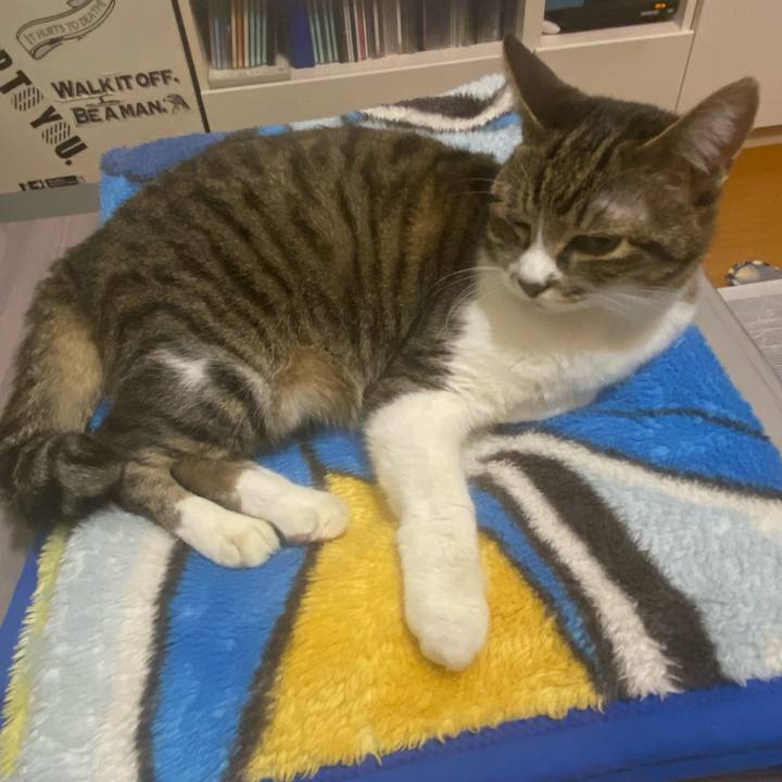 42a65df8 0a7b 49f2 b91f 609475bc7757 1654017930088