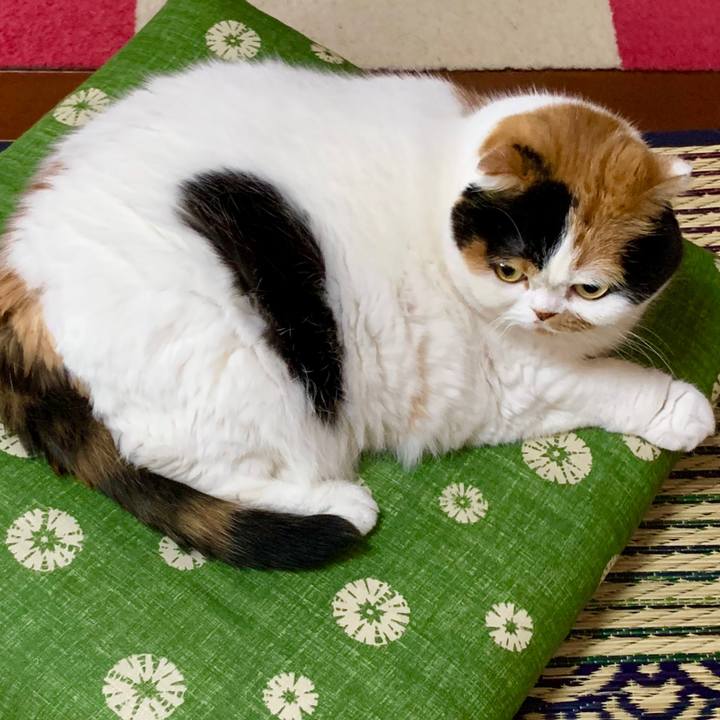 42a6eb19 bf37 4b80 9df7 e5019d47bccd 1566291072780